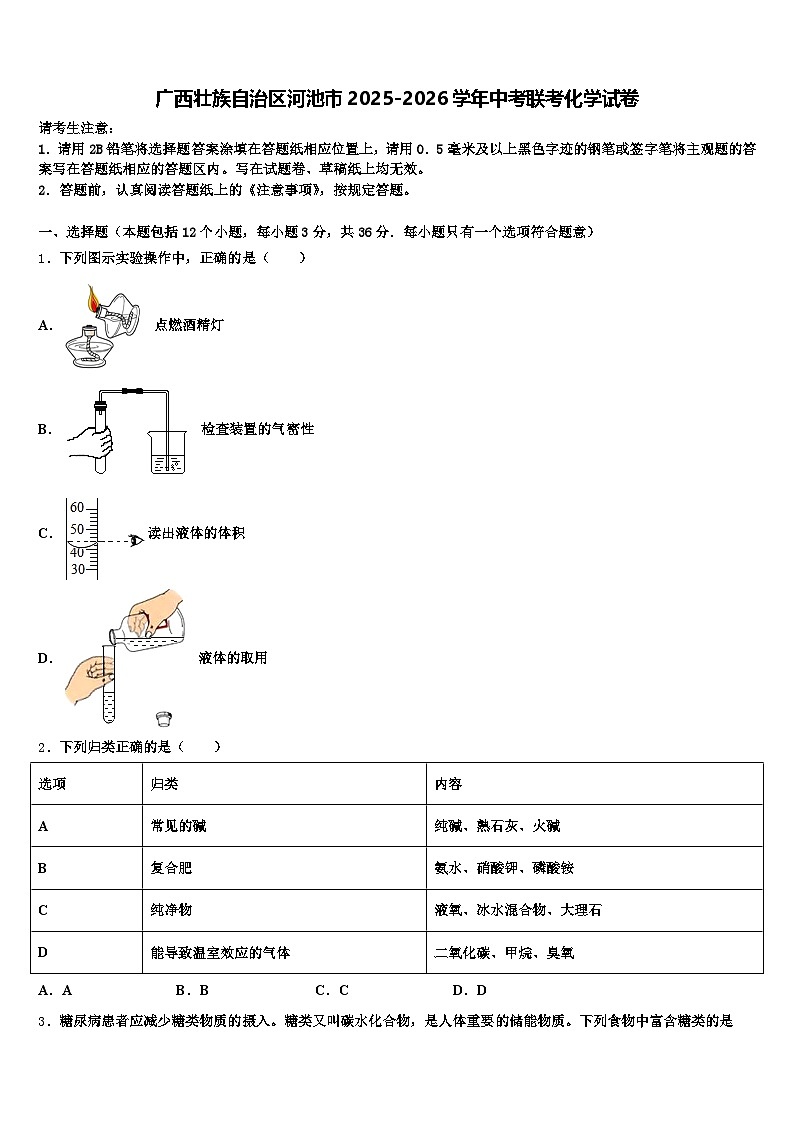 广西壮族自治区河池市2025-2026学年中考联考化学试卷（含答案解析）第1页