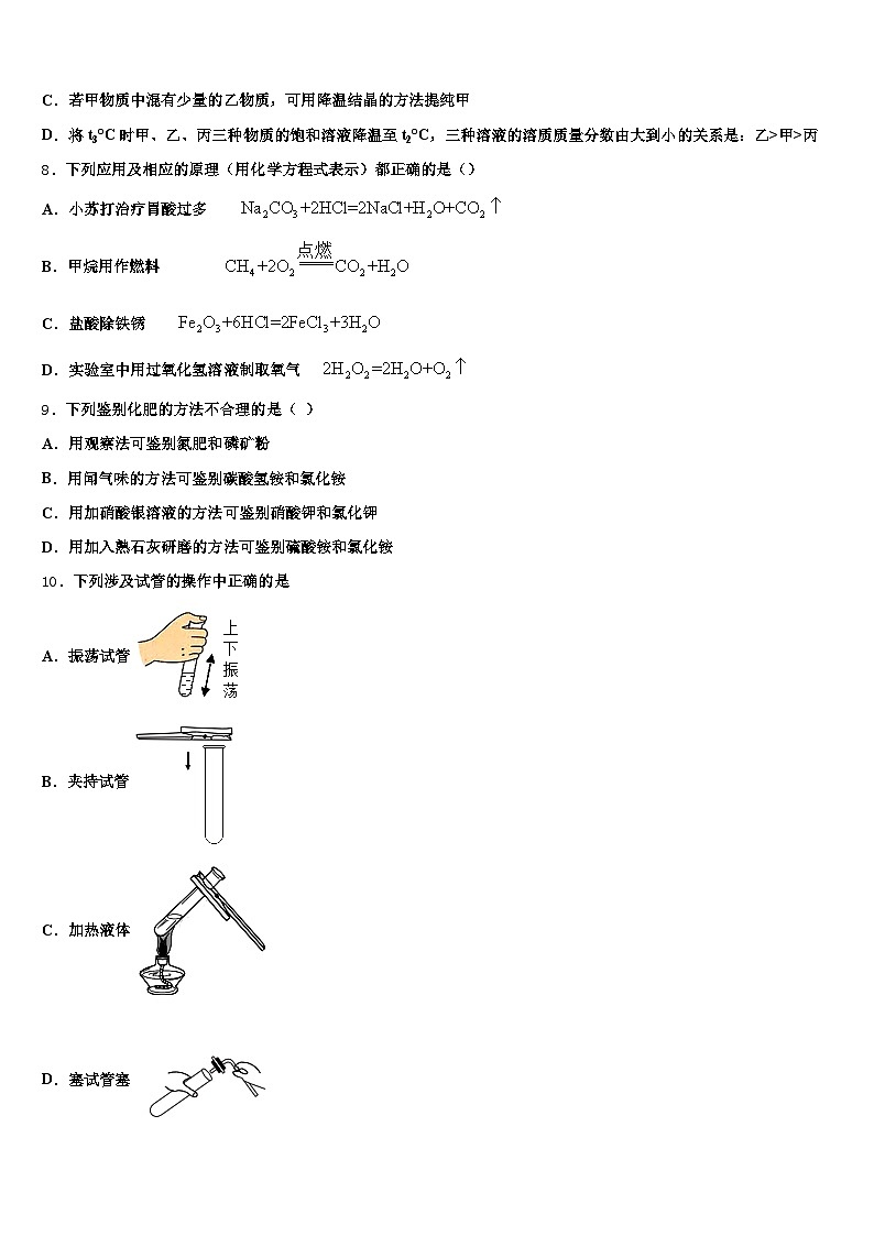 湖北省咸宁市2025-2026学年中考五模化学试题（含答案解析）第3页