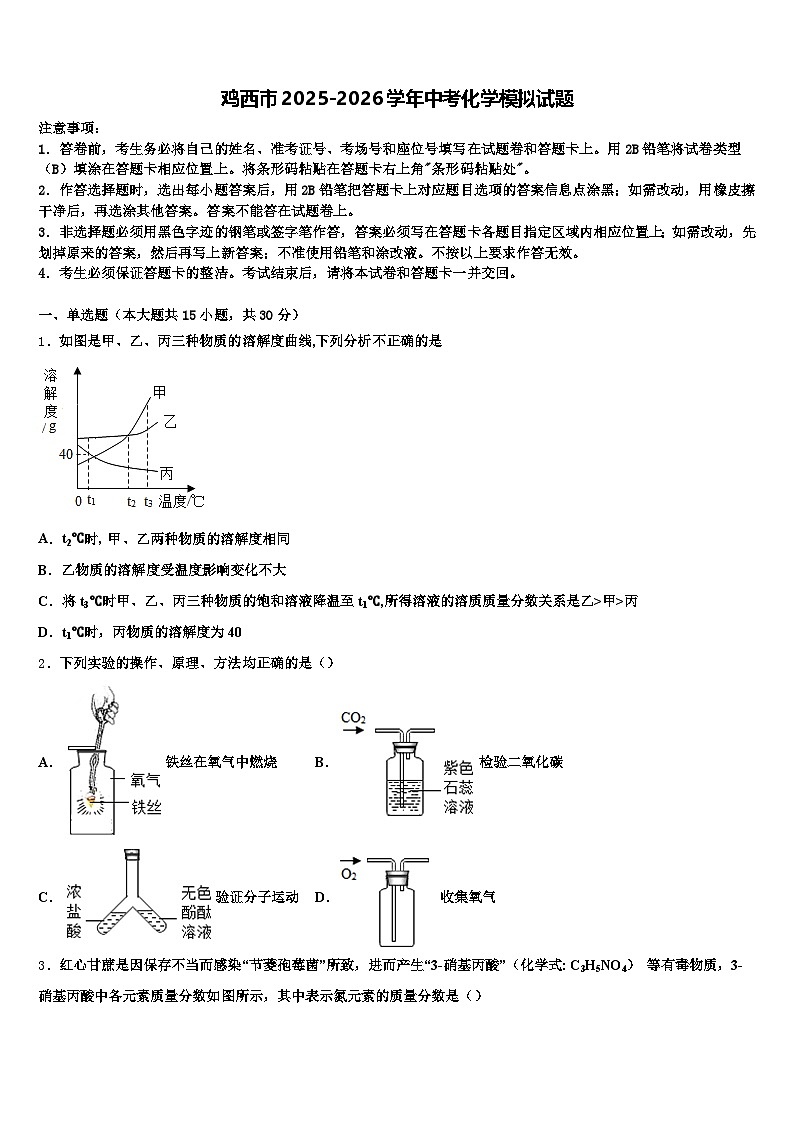 鸡西市2025-2026学年中考化学模拟试题（含答案解析）第1页