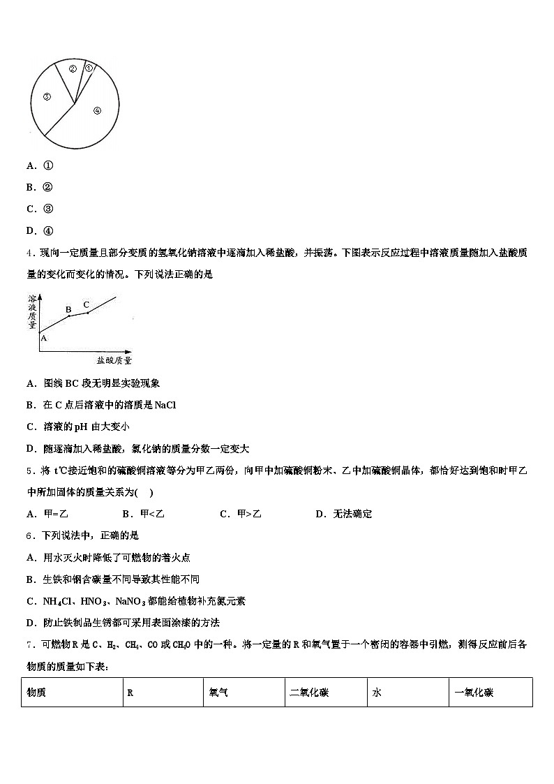 鸡西市2025-2026学年中考化学模拟试题（含答案解析）第2页