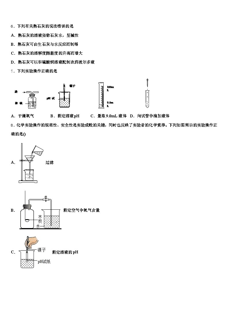 云南省怒江傈僳族自治州2025-2026学年中考考前最后一卷化学试卷（含答案解析）第2页