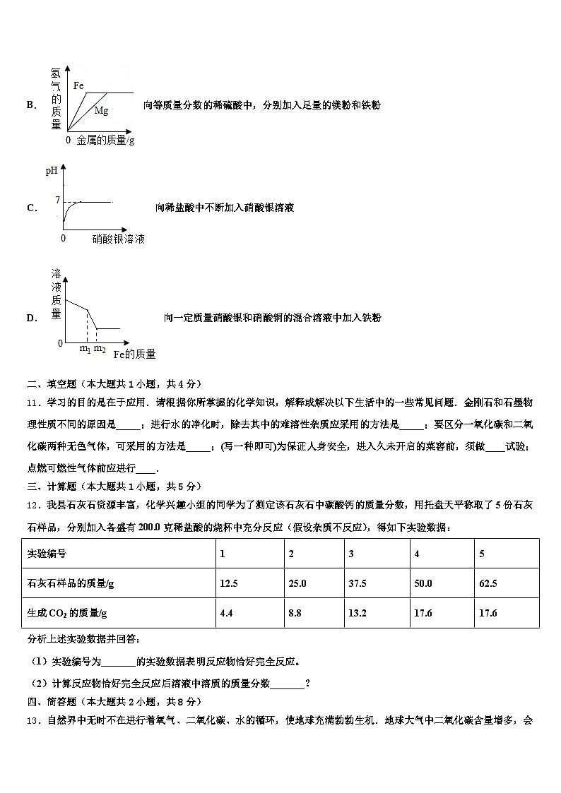 周口市2026年中考化学最后冲刺模拟试卷（含答案解析）第3页