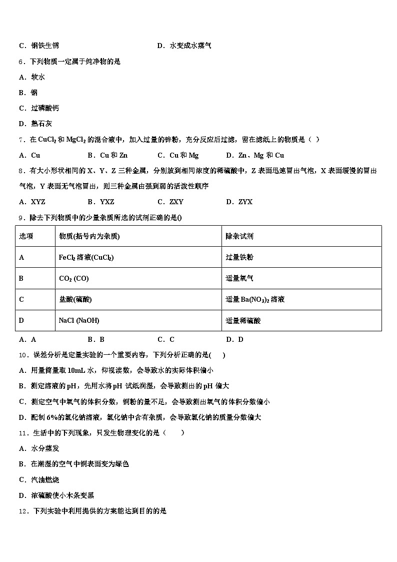 2025-2026学年陕西省榆林市初中化学毕业考试模拟冲刺卷（含答案解析）第2页