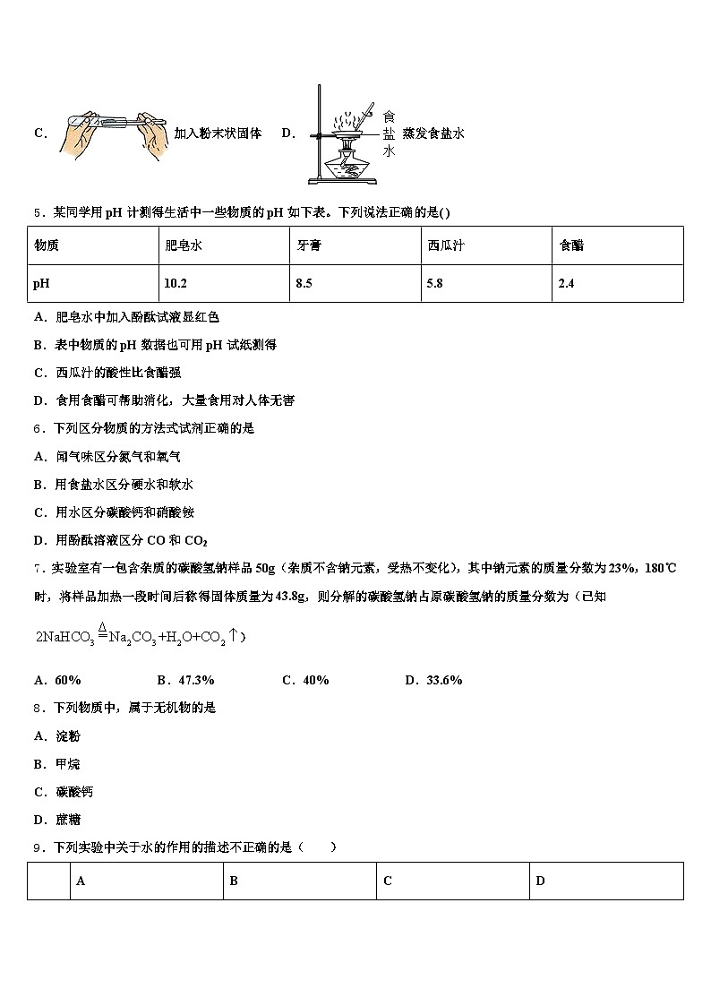 2026届驻马店市中考化学最后冲刺浓缩精华卷（含答案解析）第2页