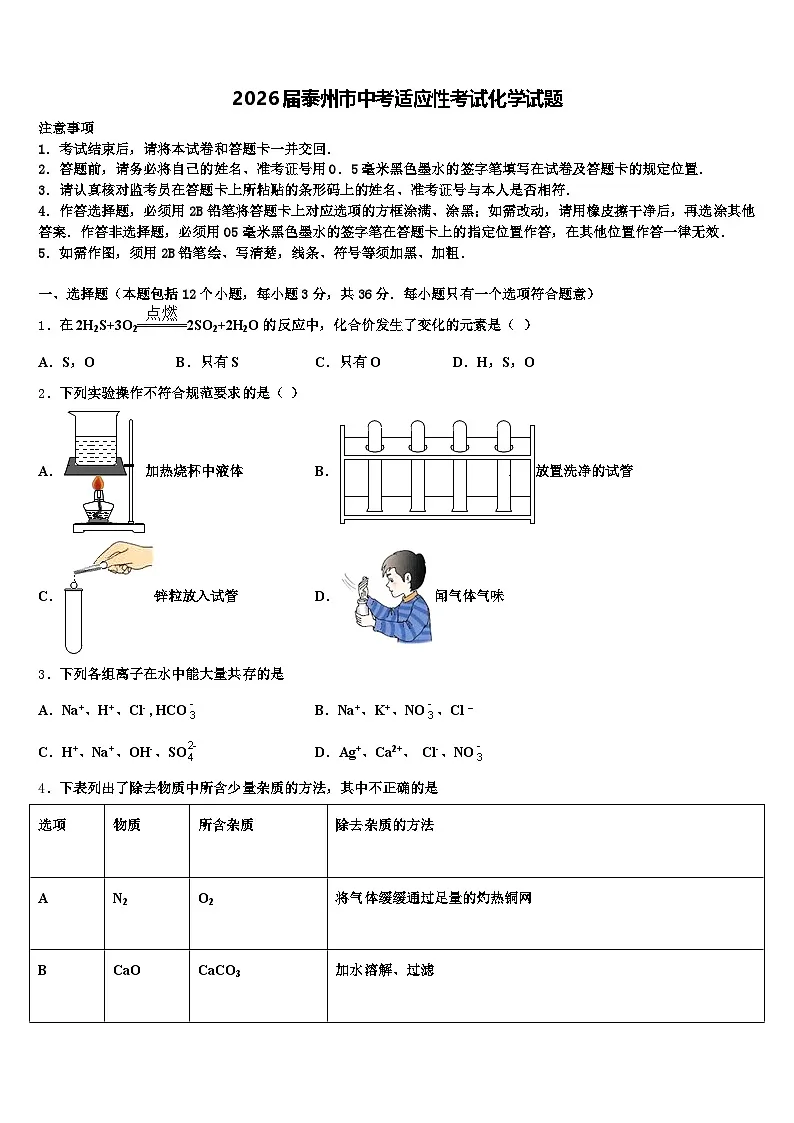 2026届泰州市中考适应性考试化学试题（含答案解析）第1页