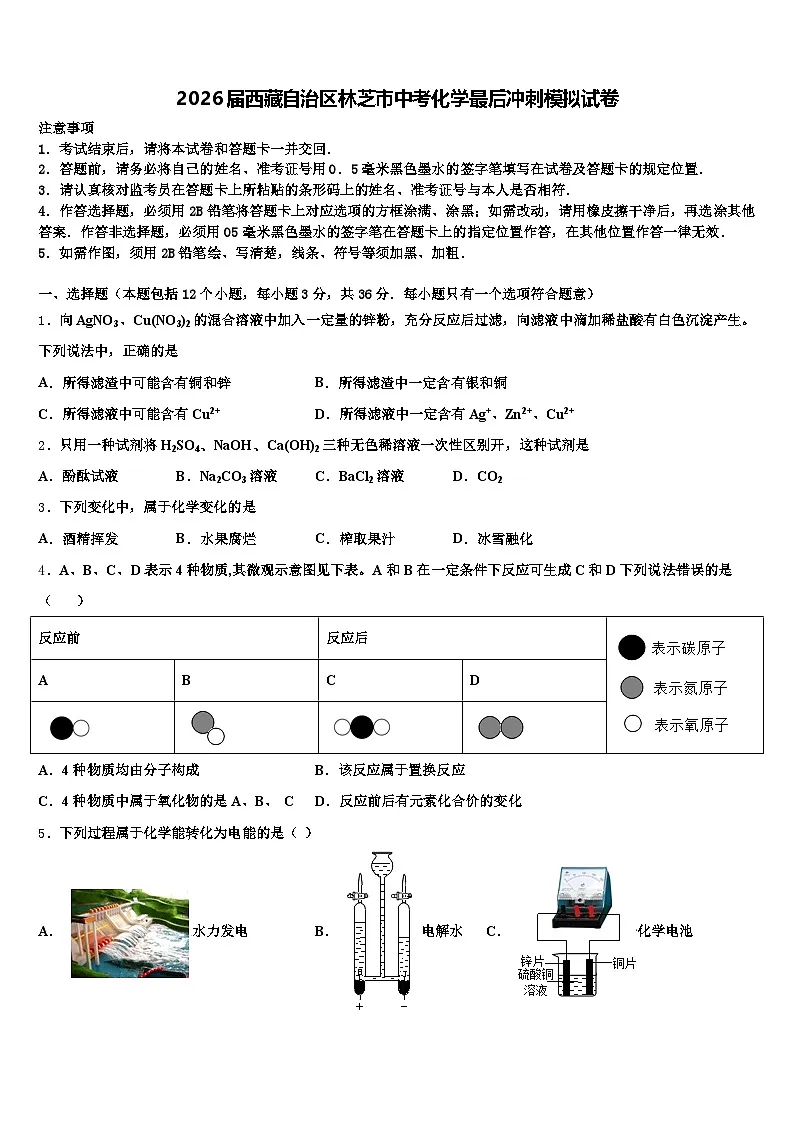2026届西藏自治区林芝市中考化学最后冲刺模拟试卷（含答案解析）第1页