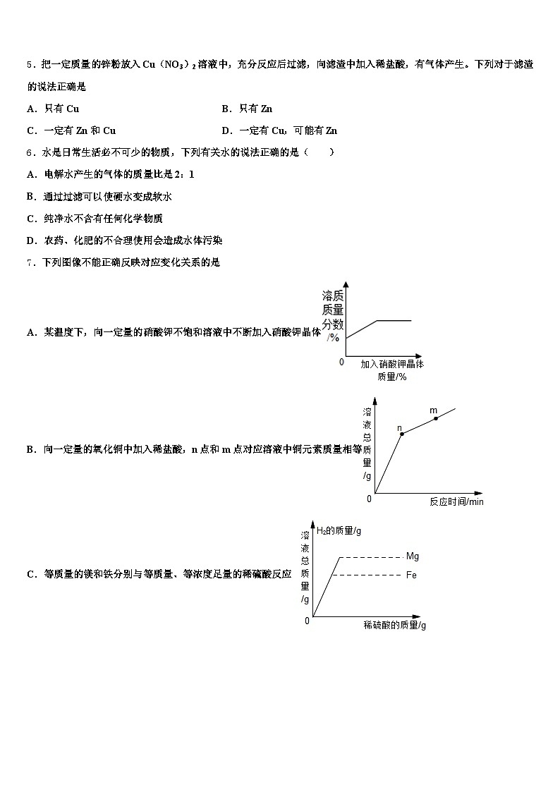 2026届遂宁市中考化学最后冲刺模拟试卷（含答案解析）第2页