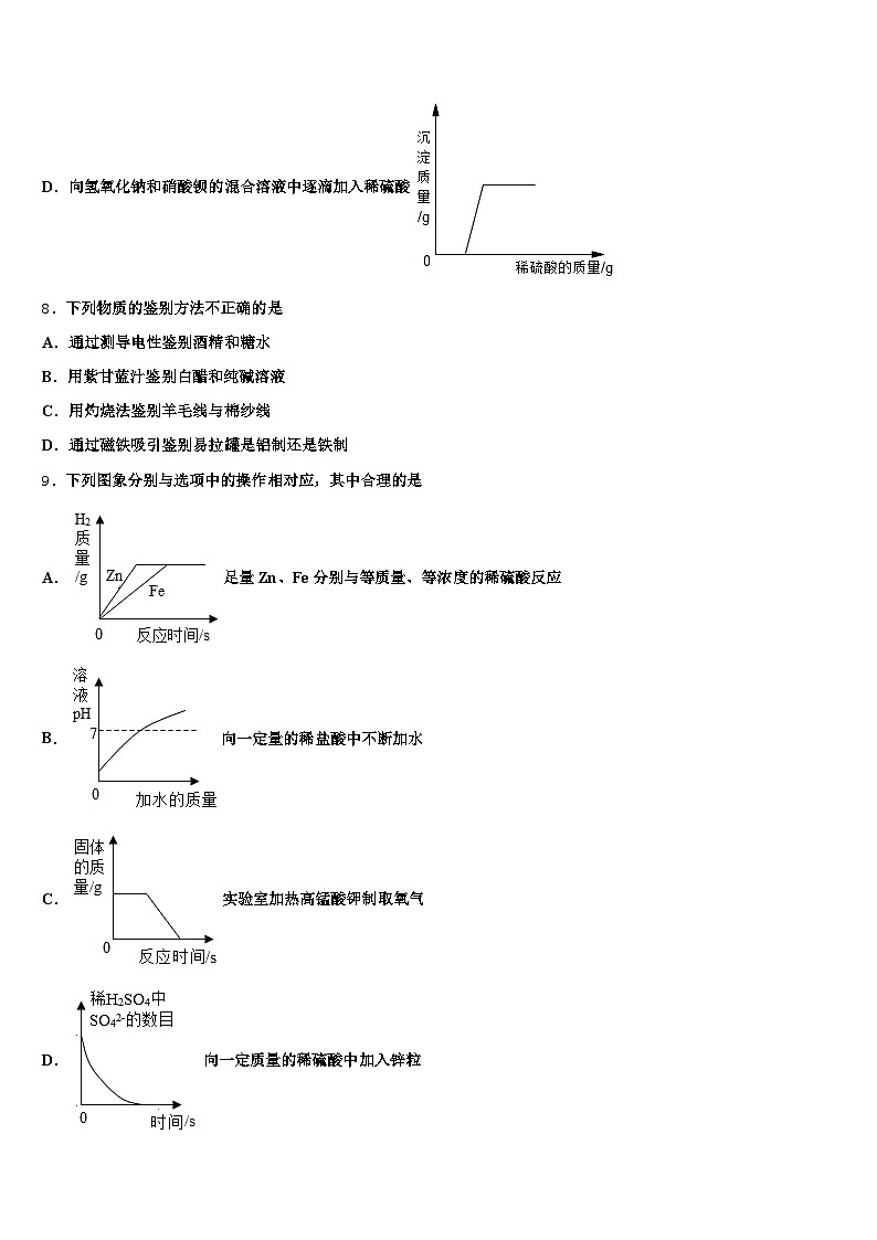 2026届遂宁市中考化学最后冲刺模拟试卷（含答案解析）第3页