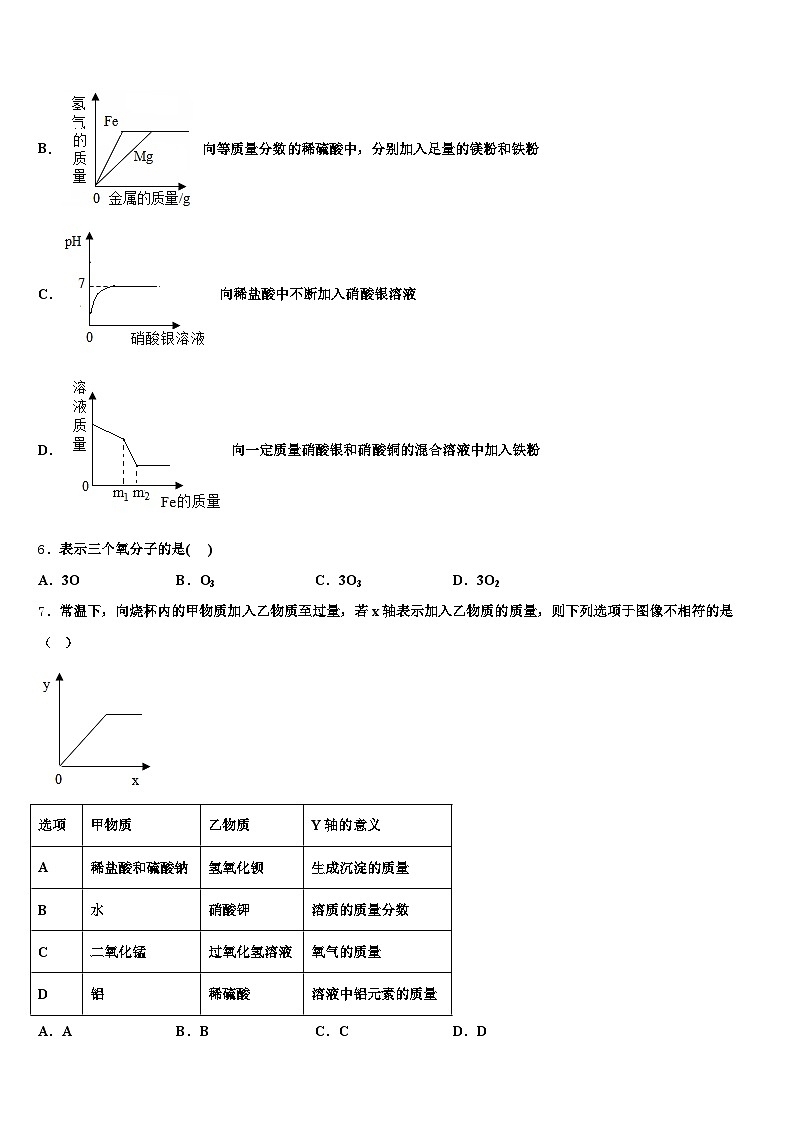 2026届宿州市中考二模化学试题（含答案解析）第2页