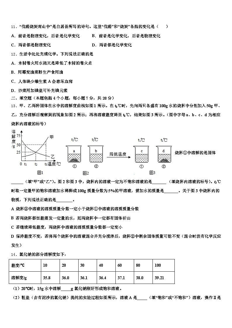 2026届信阳市中考化学模拟预测试卷（含答案解析）第3页
