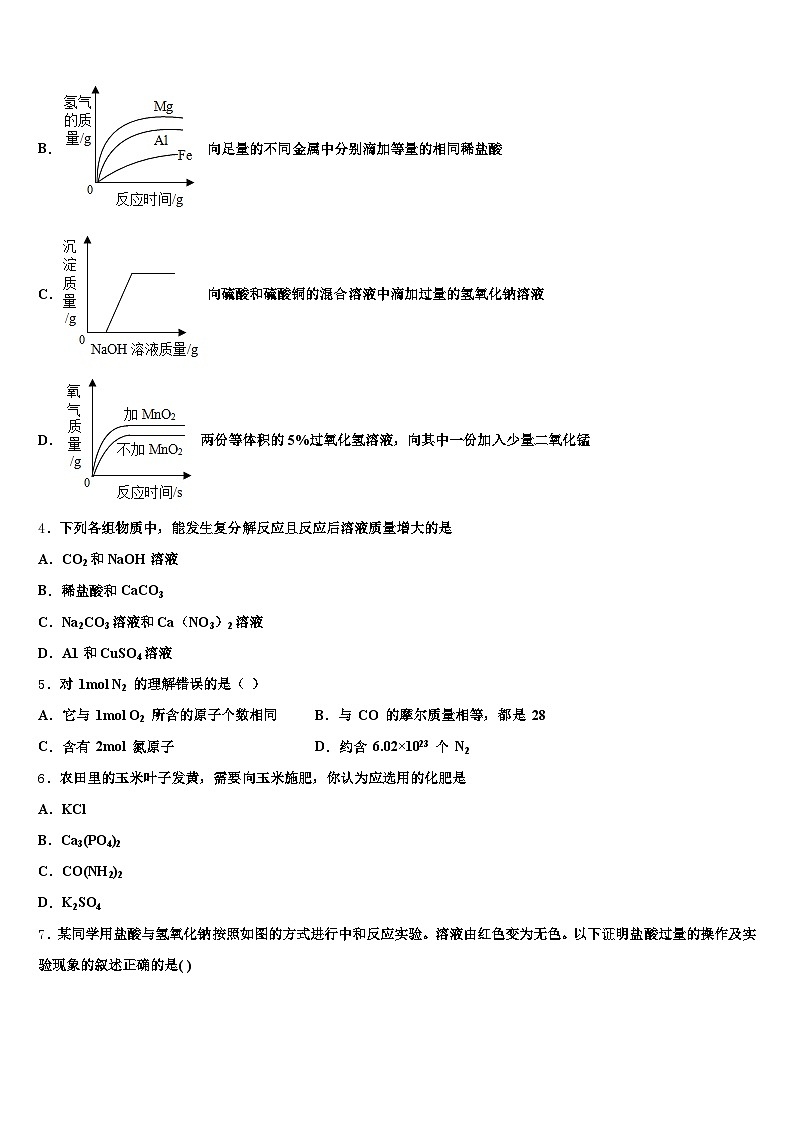 2026年四川省广元市中考联考化学试题（含答案解析）第2页