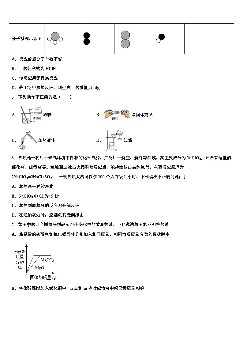 辽宁省沈阳市2026年中考冲刺卷化学试题（含答案解析）第2页