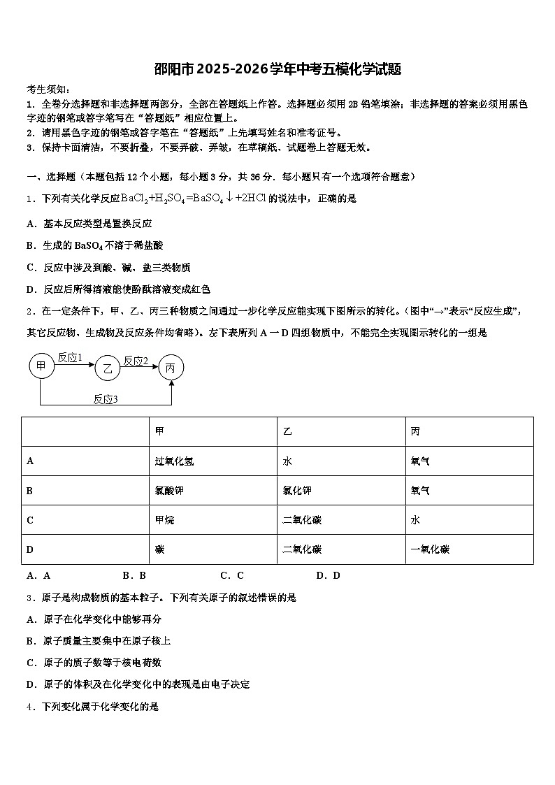 邵阳市2025-2026学年中考五模化学试题（含答案解析）第1页