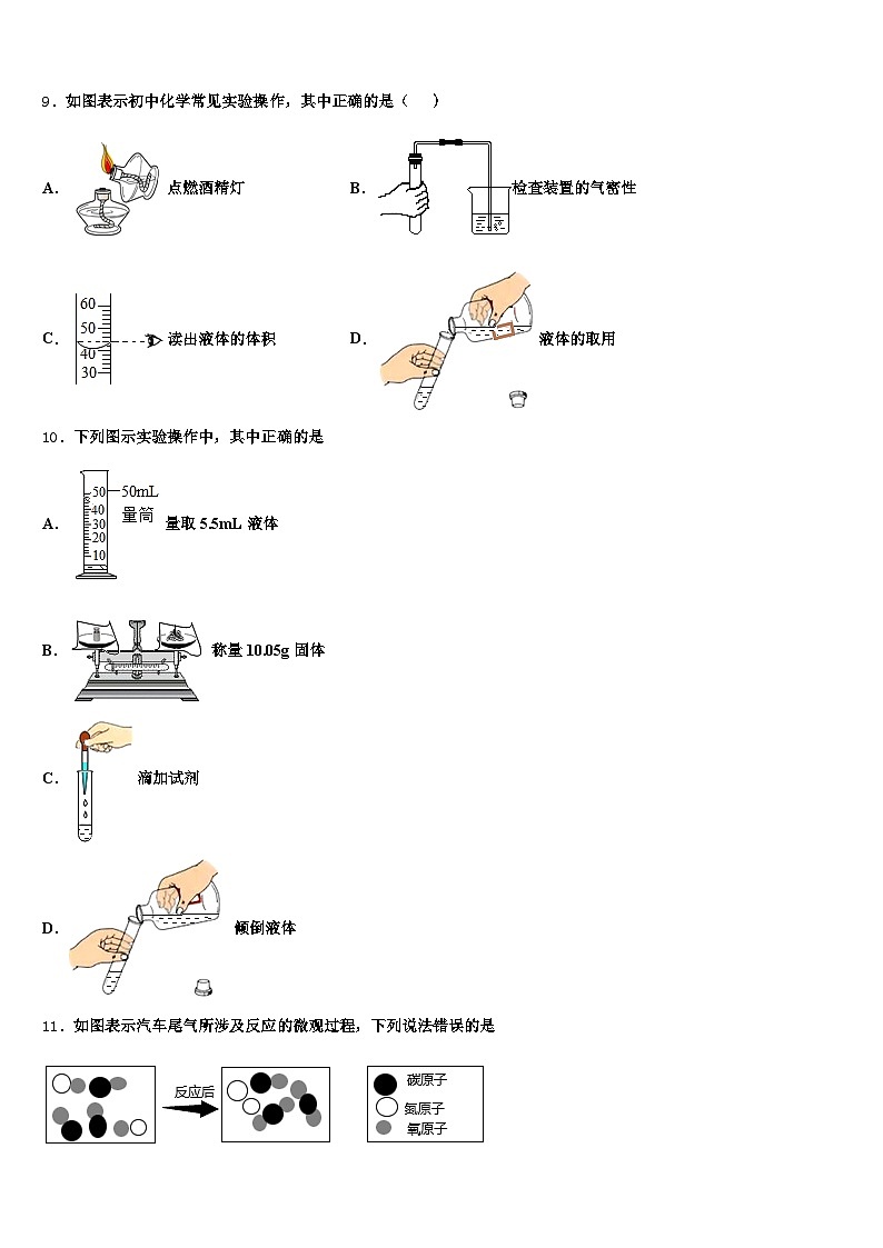 邵阳市2025-2026学年中考五模化学试题（含答案解析）第3页