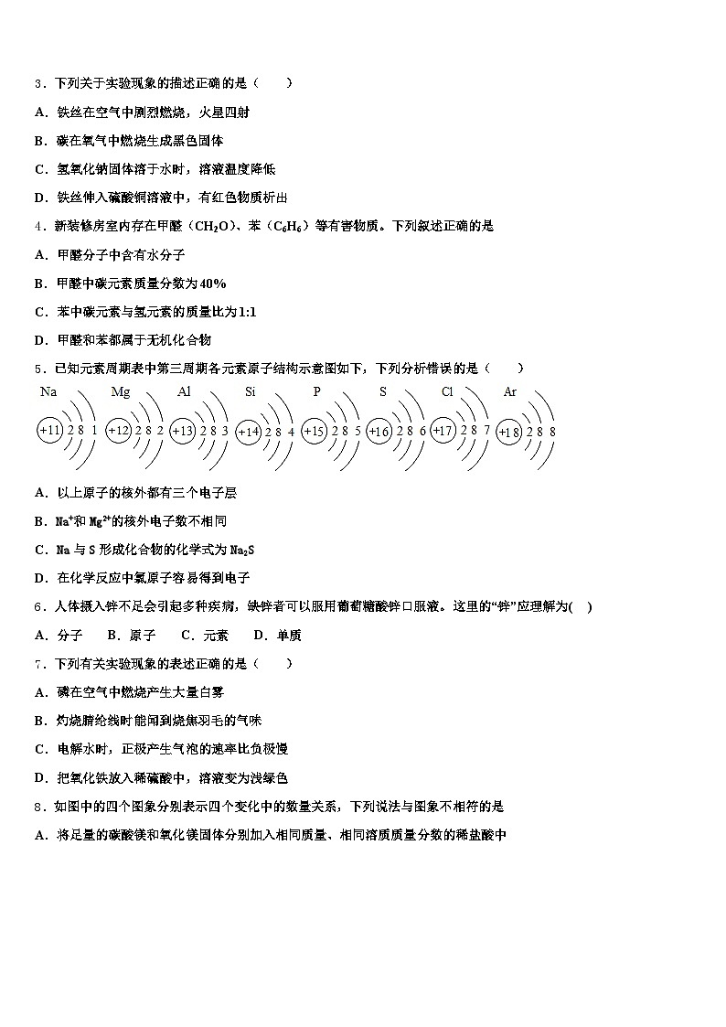 广东省河源市2026年中考冲刺卷化学试题（含答案解析）第2页