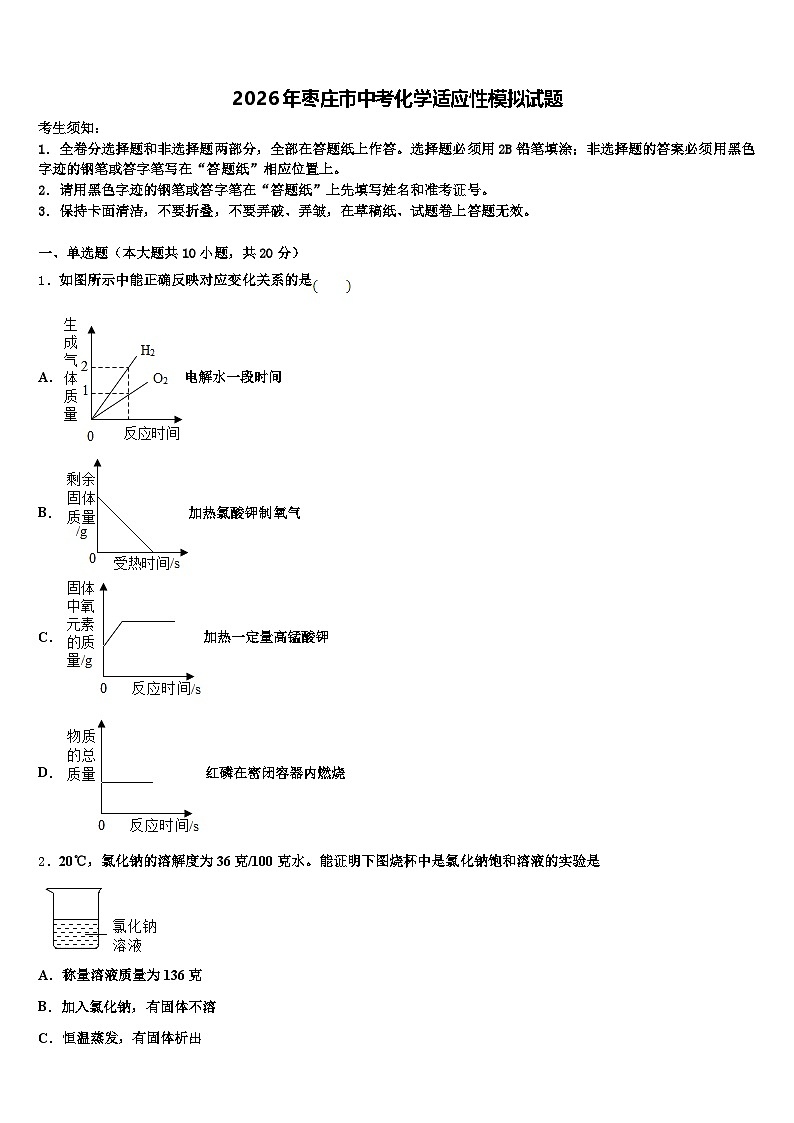2026年枣庄市中考化学适应性模拟试题（含答案解析）第1页