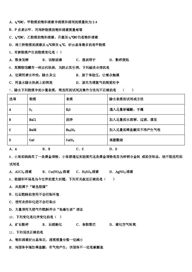 安顺市2025-2026学年中考二模化学试题（含答案解析）第2页