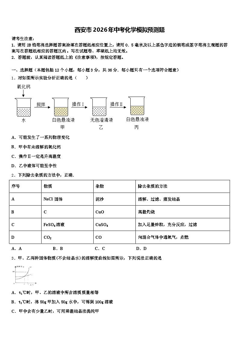 西安市2026年中考化学模拟预测题（含答案解析）第1页