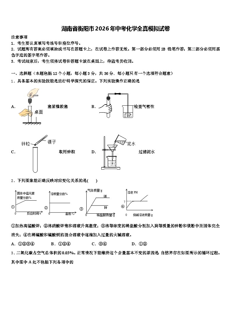 湖南省衡阳市2026年中考化学全真模拟试卷（含答案解析）第1页