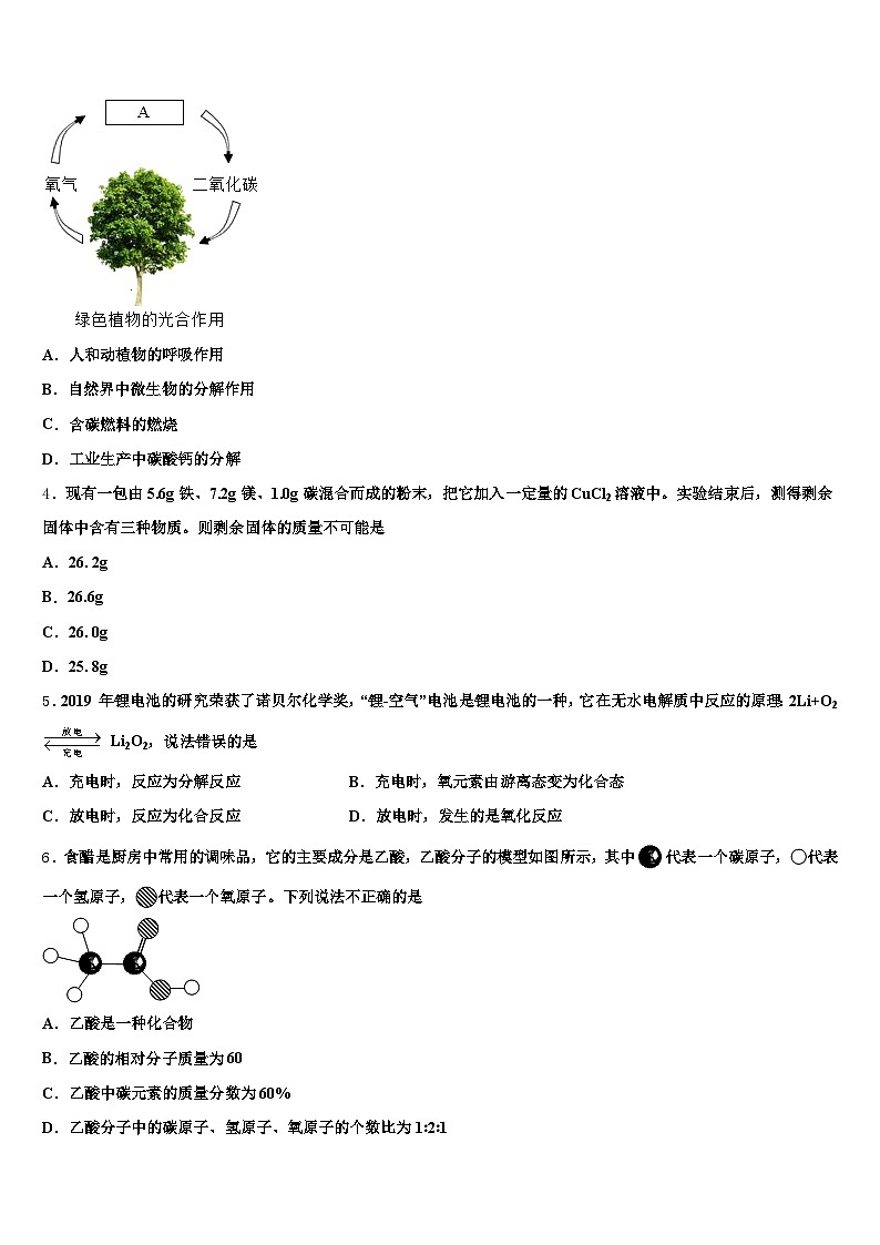 湖南省衡阳市2026年中考化学全真模拟试卷（含答案解析）第2页