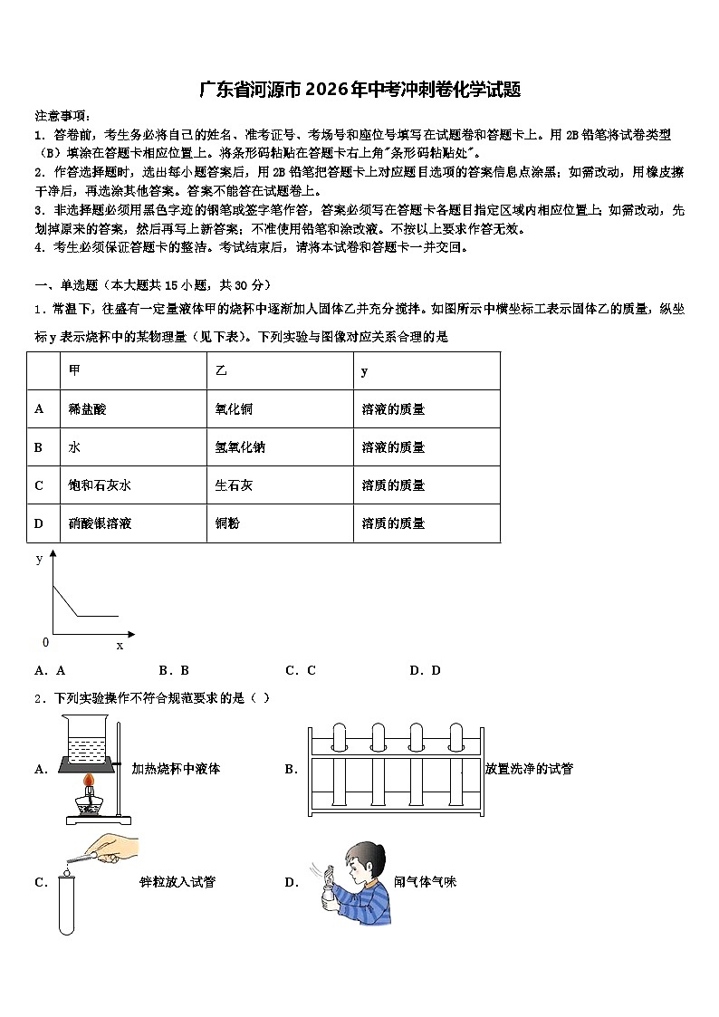 广东省河源市2026年中考冲刺卷化学试题（含答案解析）第1页