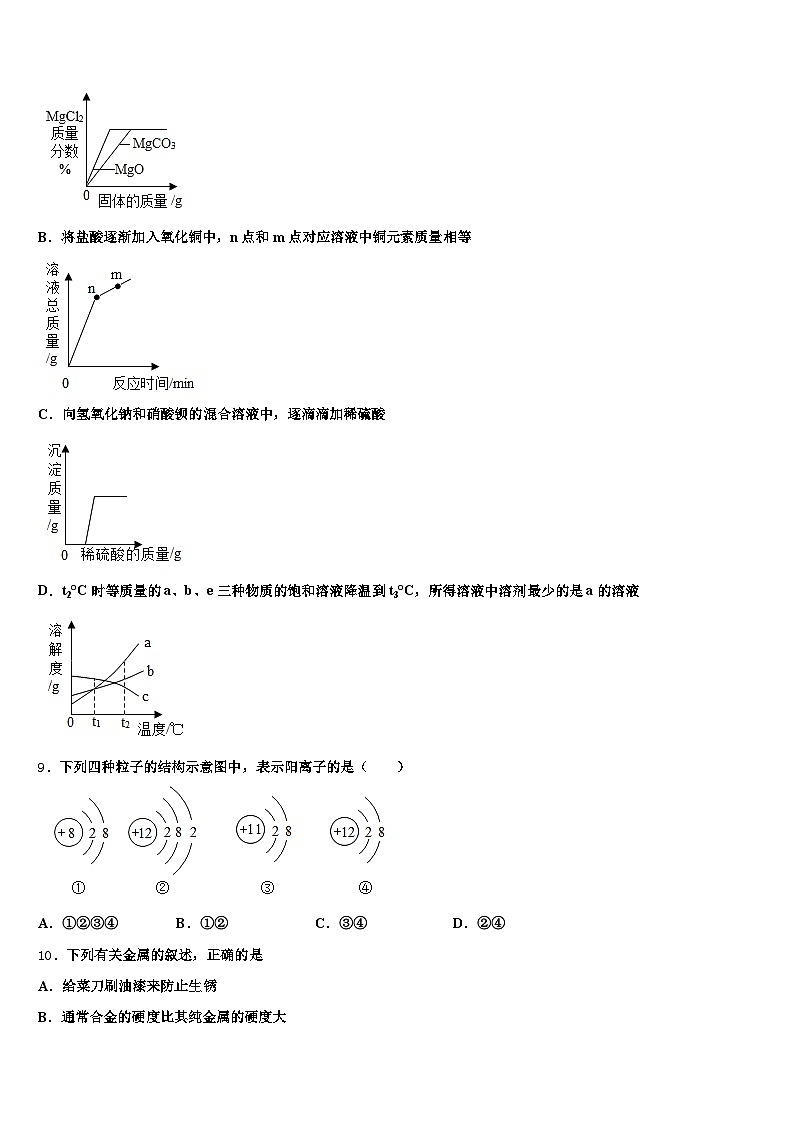 广东省河源市2026年中考冲刺卷化学试题（含答案解析）第3页