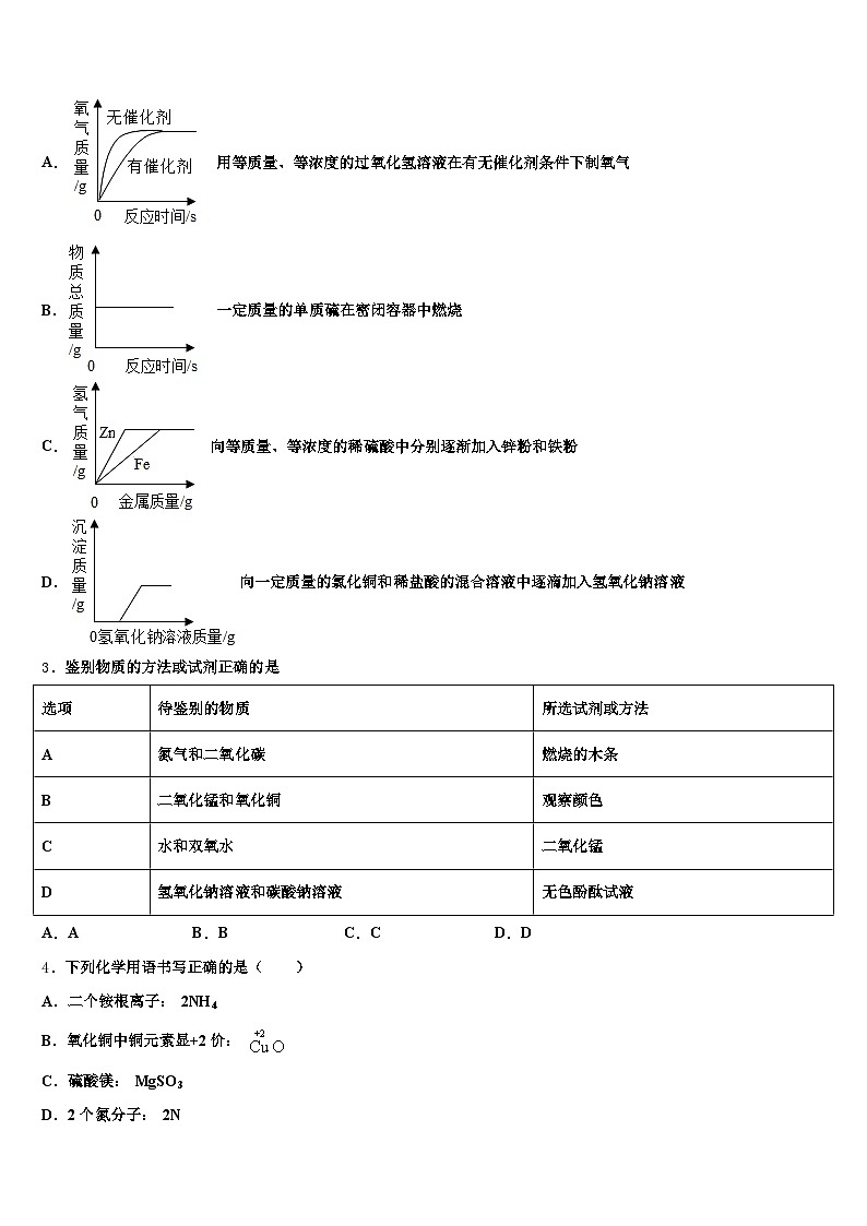 温州市2025-2026学年中考三模化学试题（含答案解析）第2页