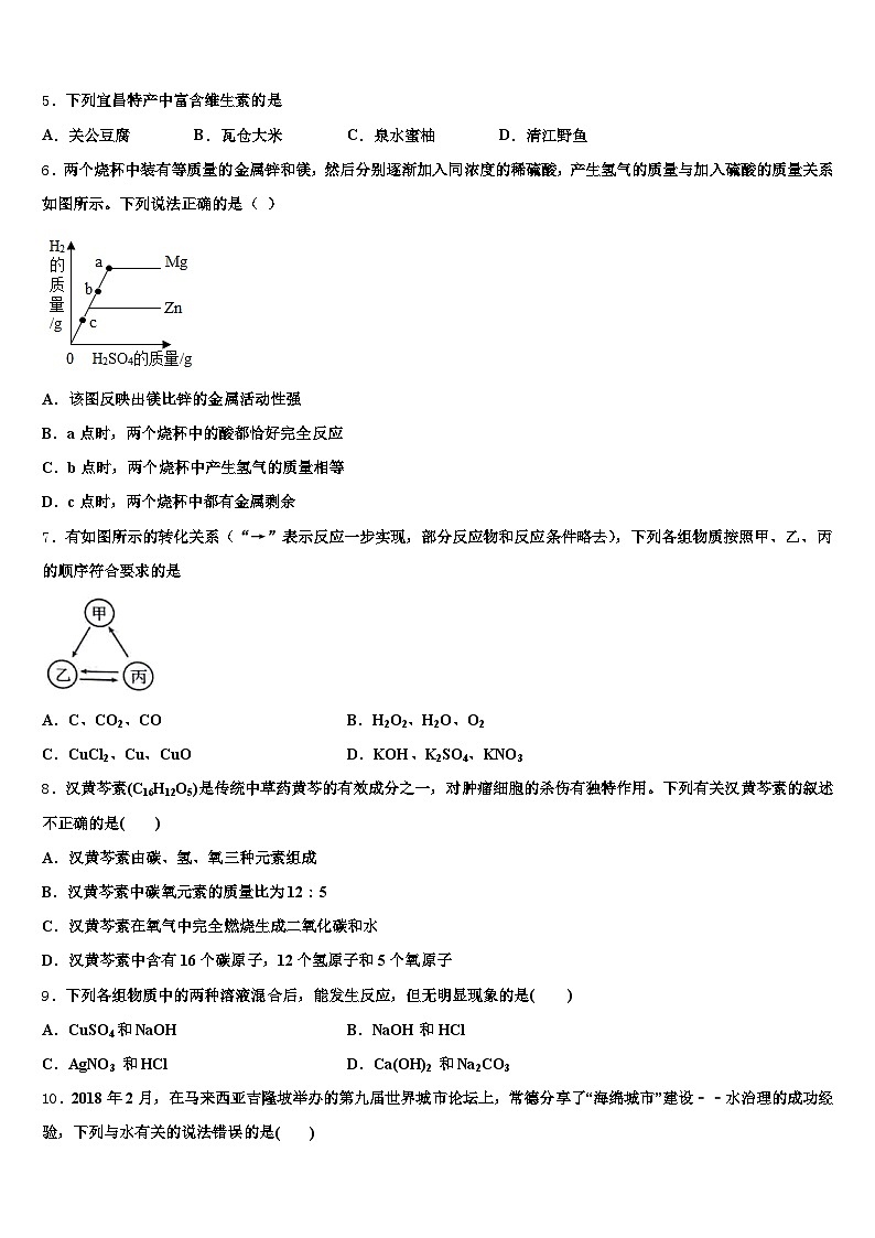 温州市2025-2026学年中考三模化学试题（含答案解析）第3页
