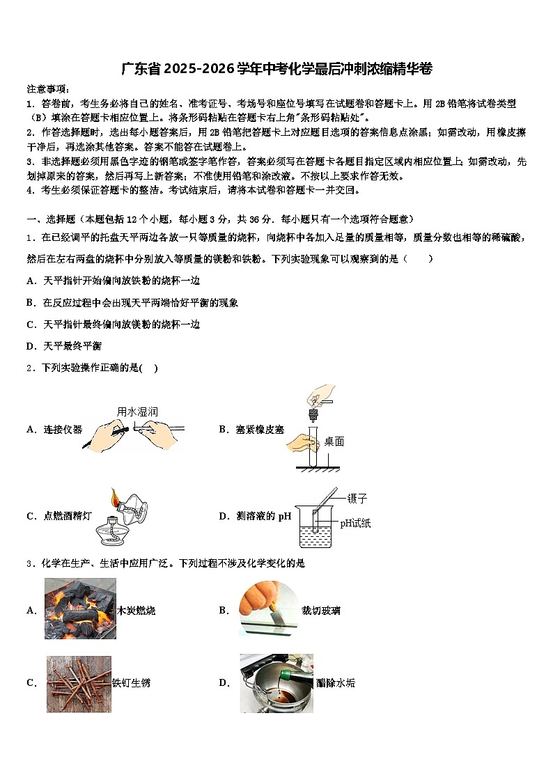 广东省2025-2026学年中考化学最后冲刺浓缩精华卷（含答案解析）第1页
