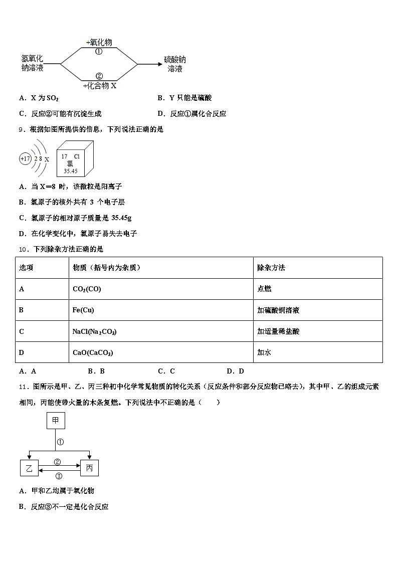 阜阳市2025-2026学年中考试题猜想化学试卷（含答案解析）第3页