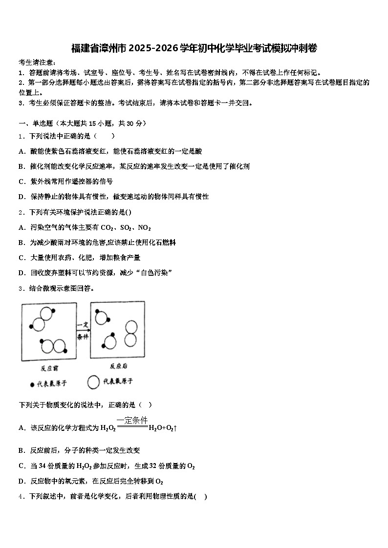 福建省漳州市2025-2026学年初中化学毕业考试模拟冲刺卷（含答案解析）第1页