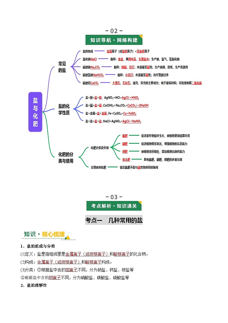 专题11 盐与化肥（讲义）（解析版）第3页