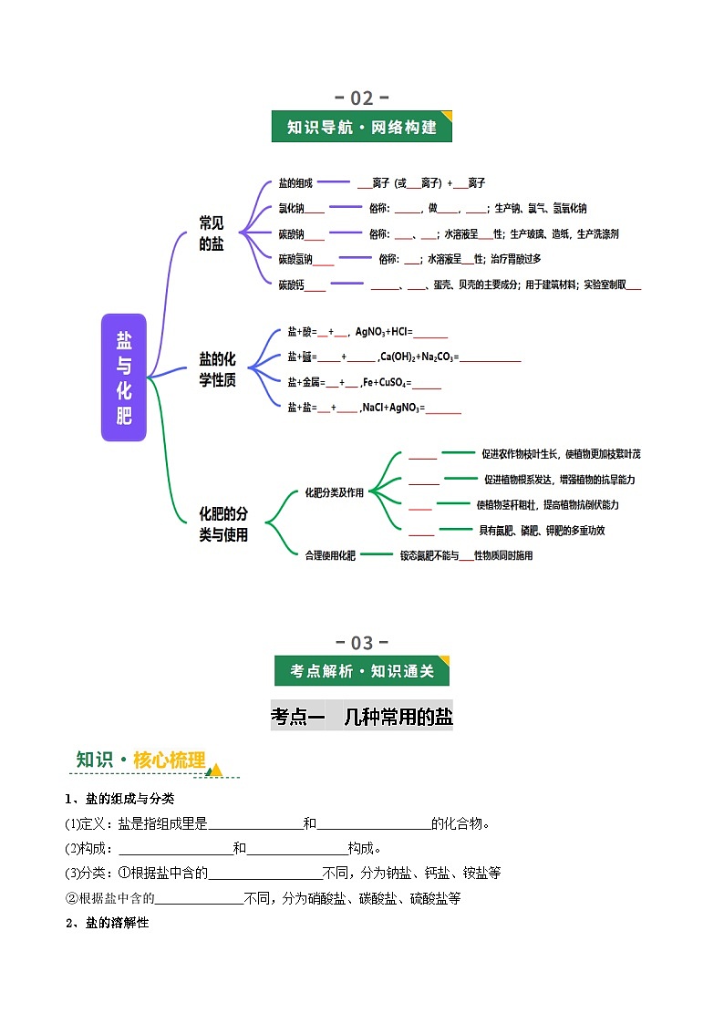 专题11 盐与化肥（讲义）（原卷版）第3页