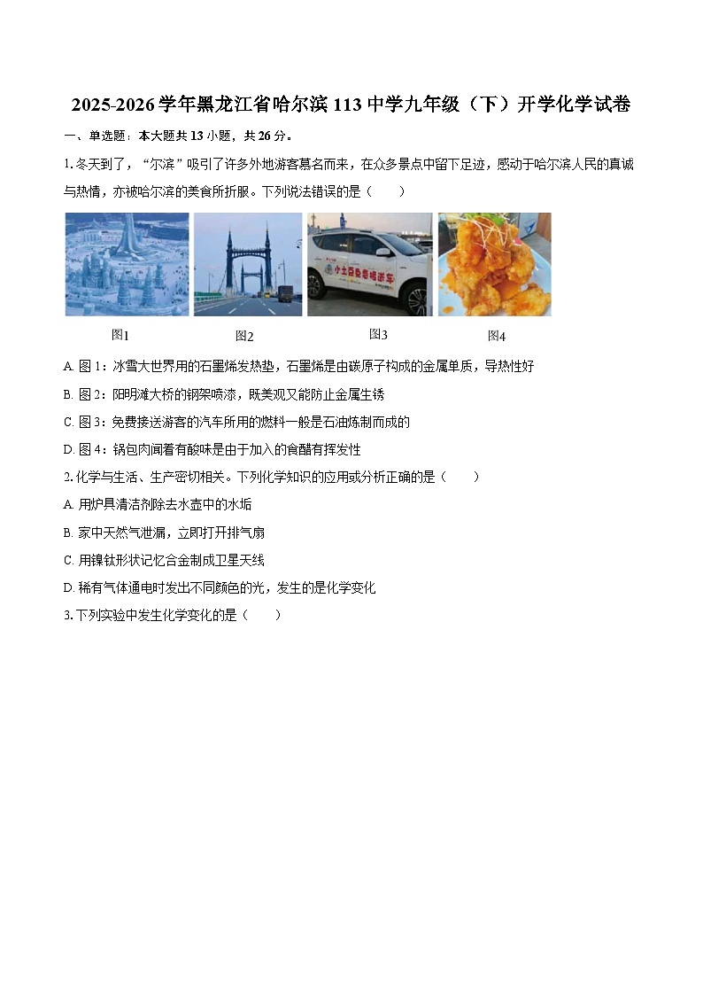 2025-2026学年黑龙江省哈尔滨113中学九年级（下）开学化学试卷-自定义类型第1页