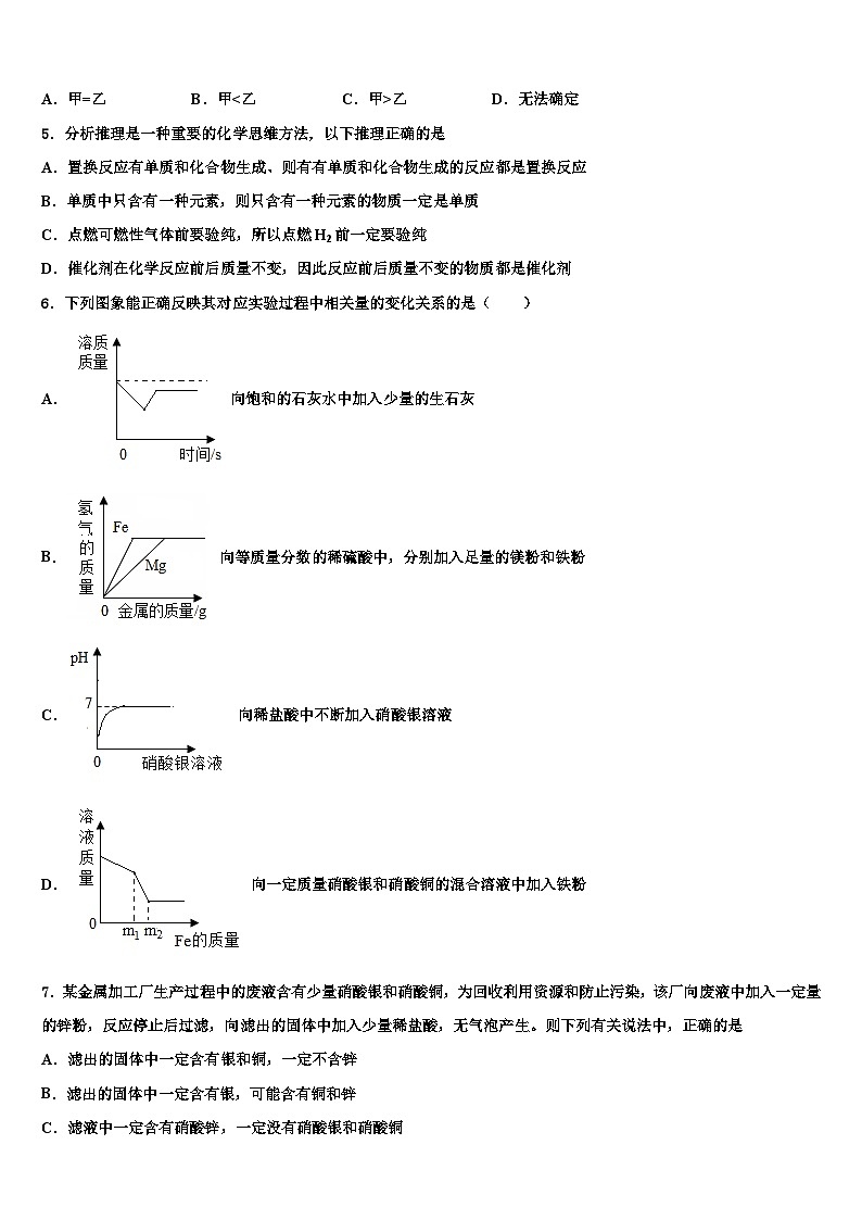 江苏省苏州市振华中学2026届中考押题化学预测卷含解析第2页