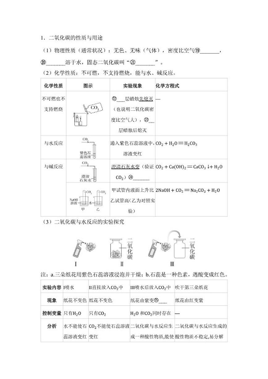 专题三 碳和碳的氧化物  2026年中考化学一轮复习（含答案）第3页