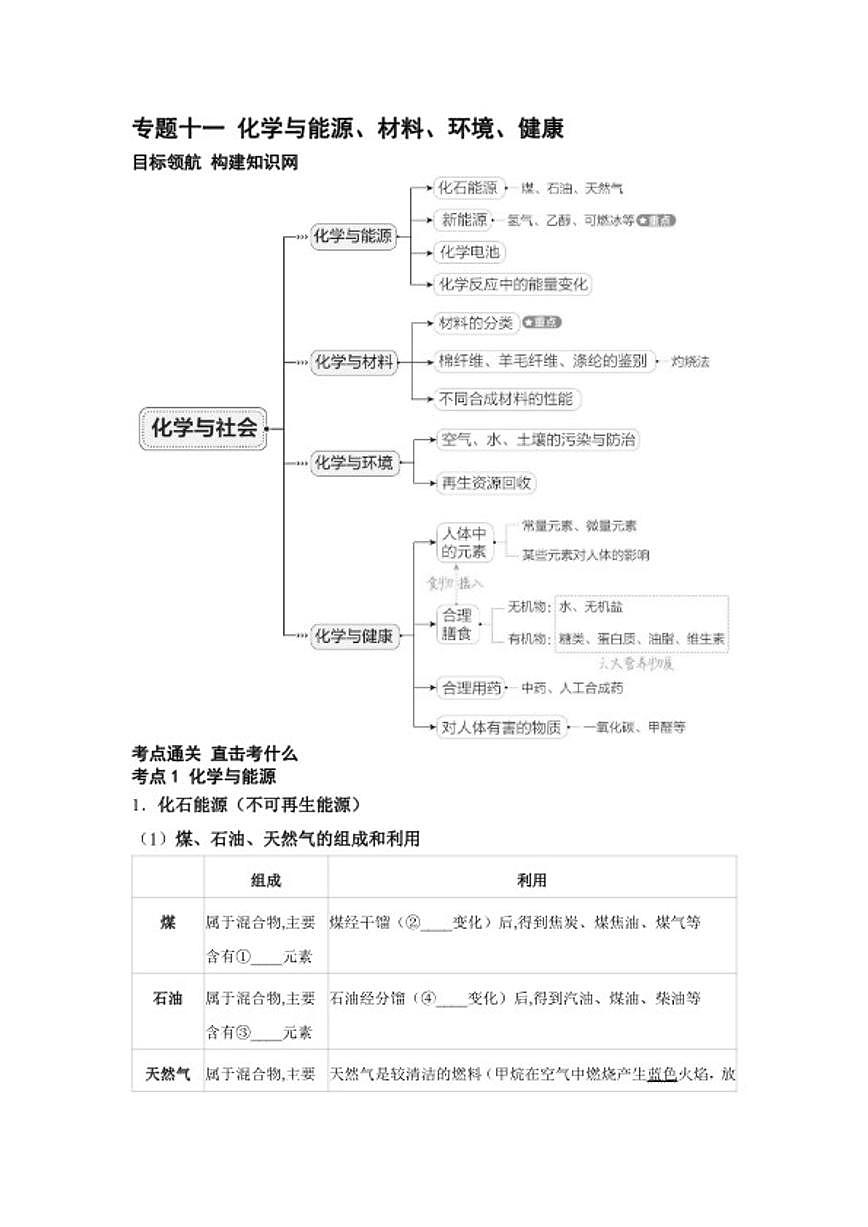 专题十一 化学与能源、材料、环境、健康  2026年中考化学一轮复习练习(含答案)第1页
