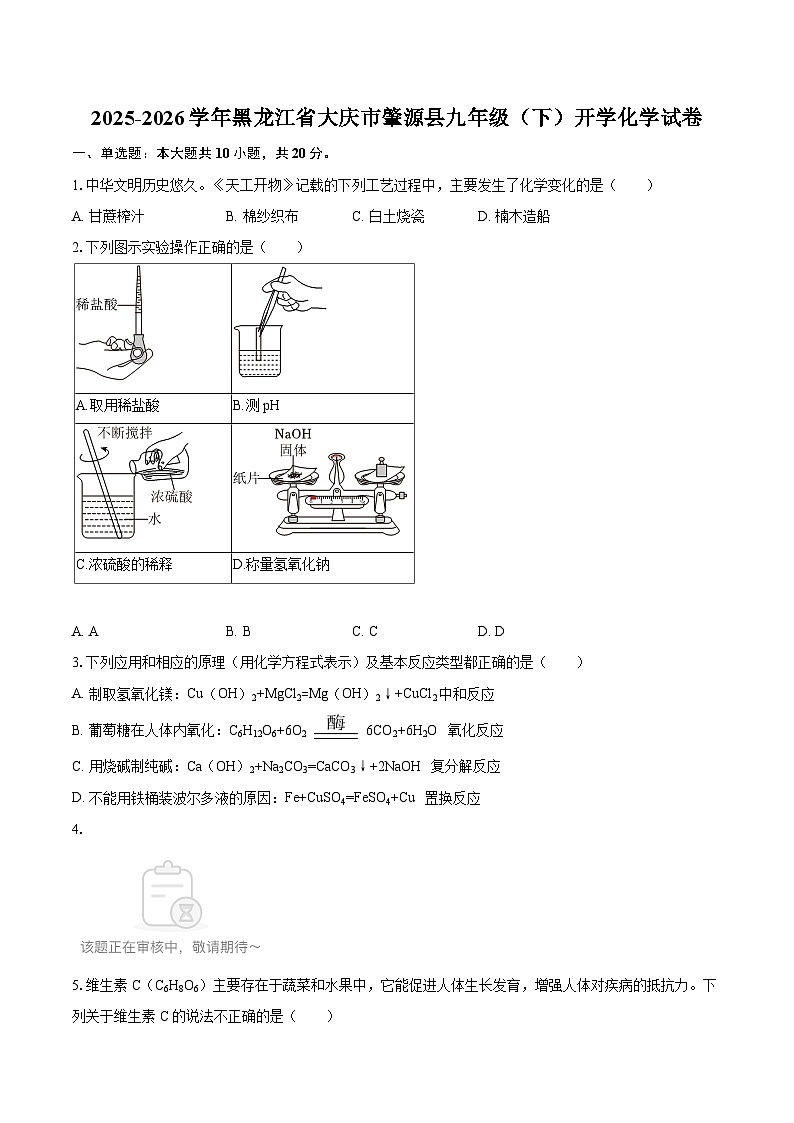 2025-2026学年黑龙江省大庆市肇源县九年级（下）开学化学试卷-自定义类型第1页