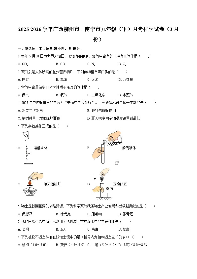 2025-2026学年广西柳州市、南宁市九年级（下）月考化学试卷（3月份）-自定义类型第1页
