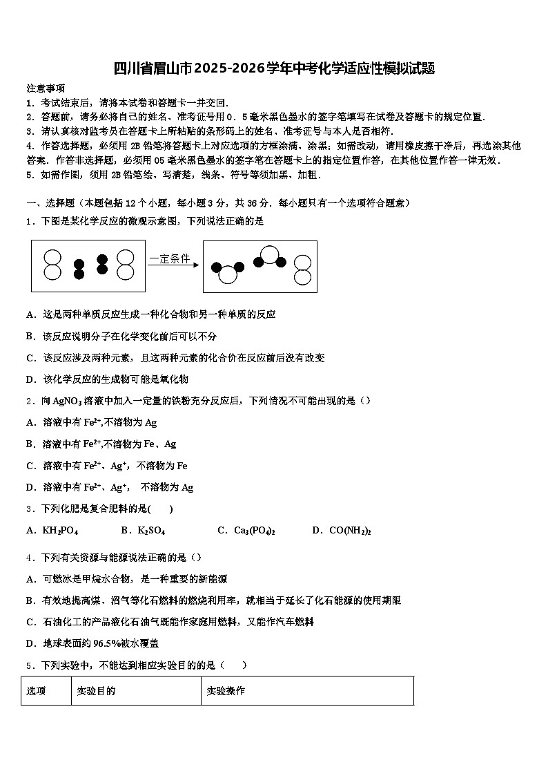 四川省眉山市2025-2026学年中考化学适应性模拟试题（含答案解析）第1页