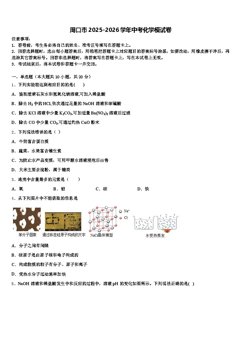周口市2025-2026学年中考化学模试卷（含答案解析）第1页