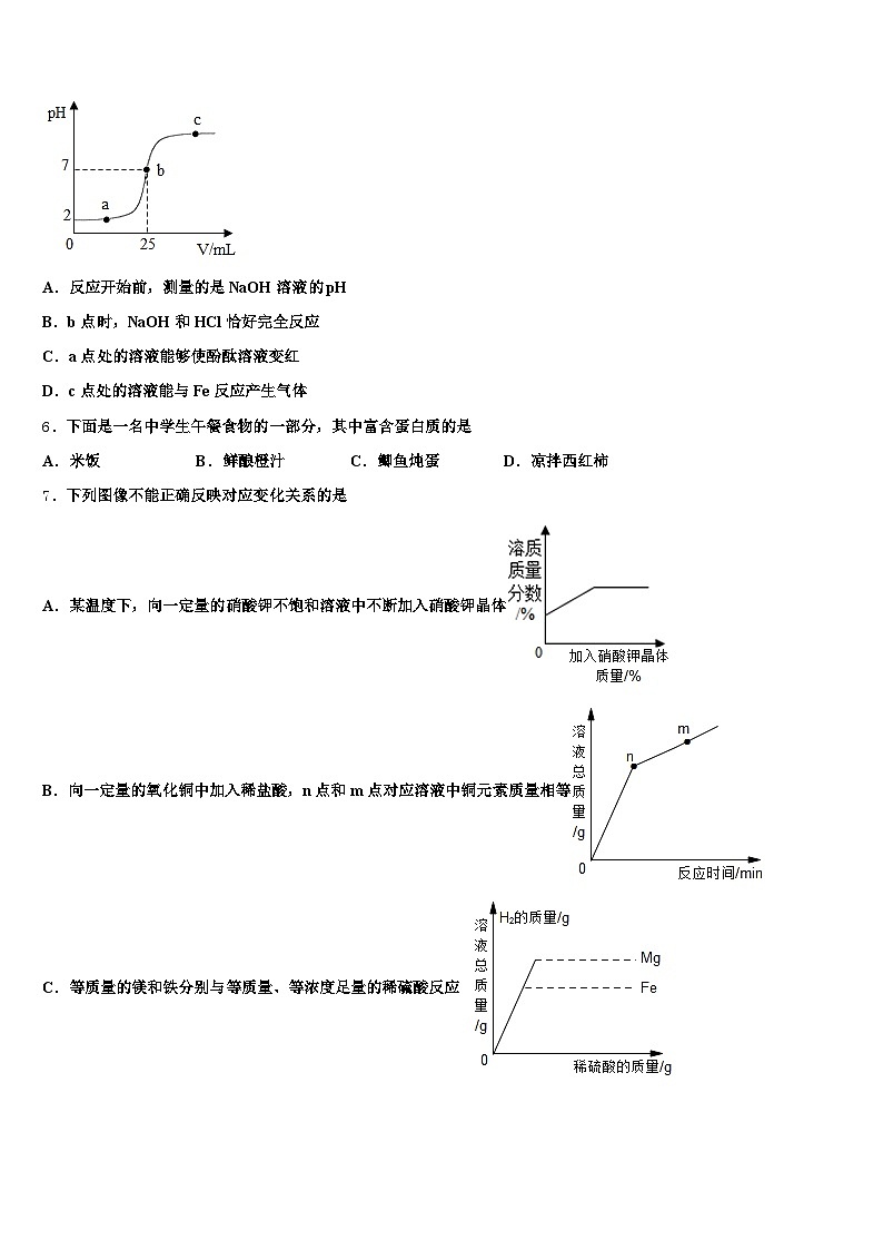 周口市2025-2026学年中考化学模试卷（含答案解析）第2页