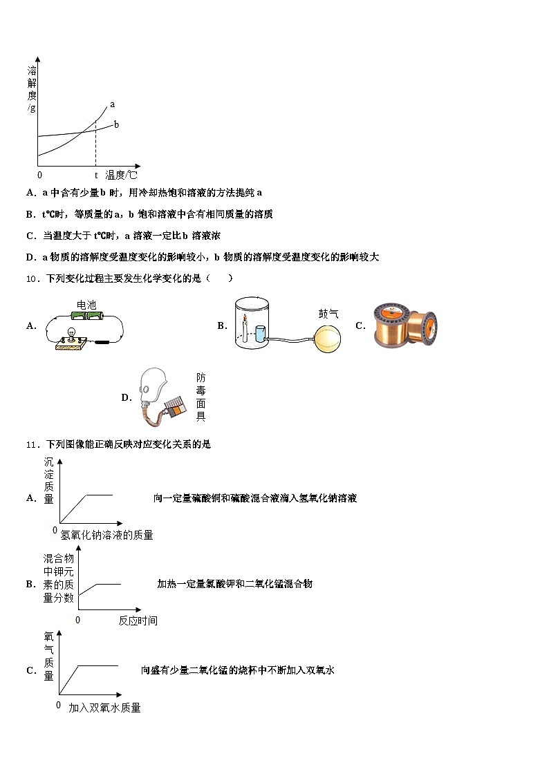 湖北省荆州市2026年中考适应性考试化学试题（含答案解析）第3页