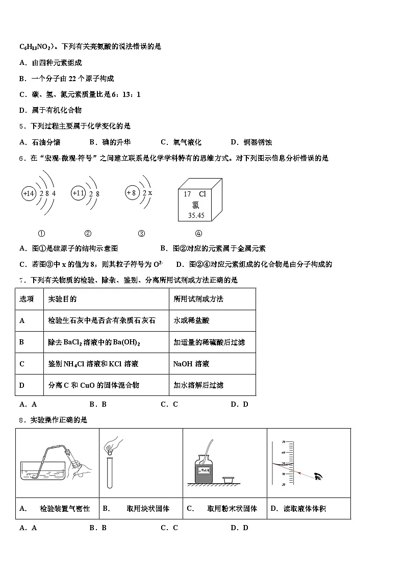 大同市2026年中考押题化学预测卷（含答案解析）第2页
