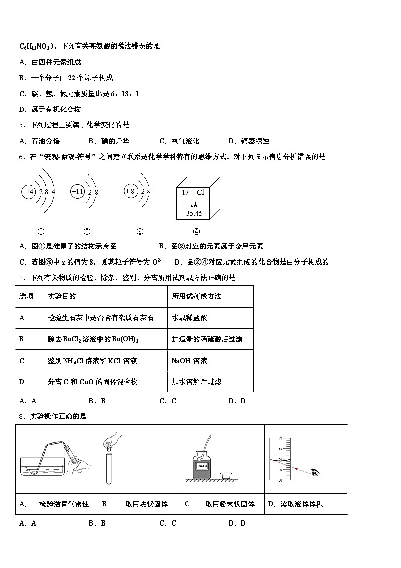 大同市2026年中考押题化学预测卷（含答案解析）第2页