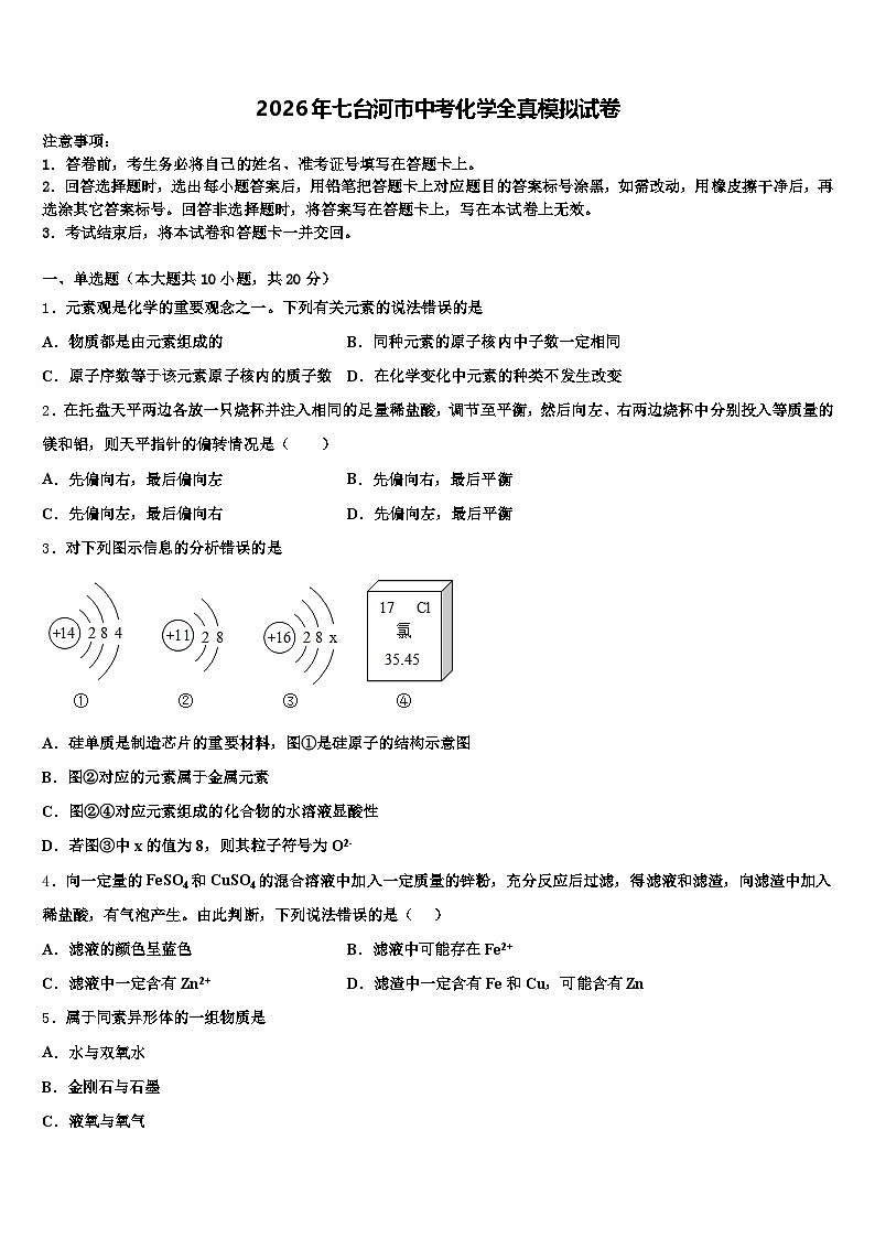 2026年七台河市中考化学全真模拟试卷（含答案解析）第1页