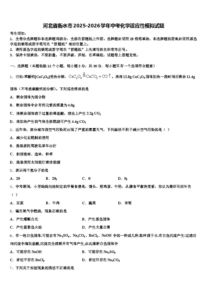河北省衡水市2025-2026学年中考化学适应性模拟试题（含答案解析）第1页