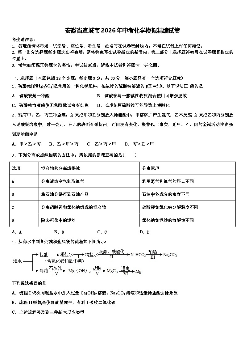 安徽省宣城市2026年中考化学模拟精编试卷（含答案解析）第1页