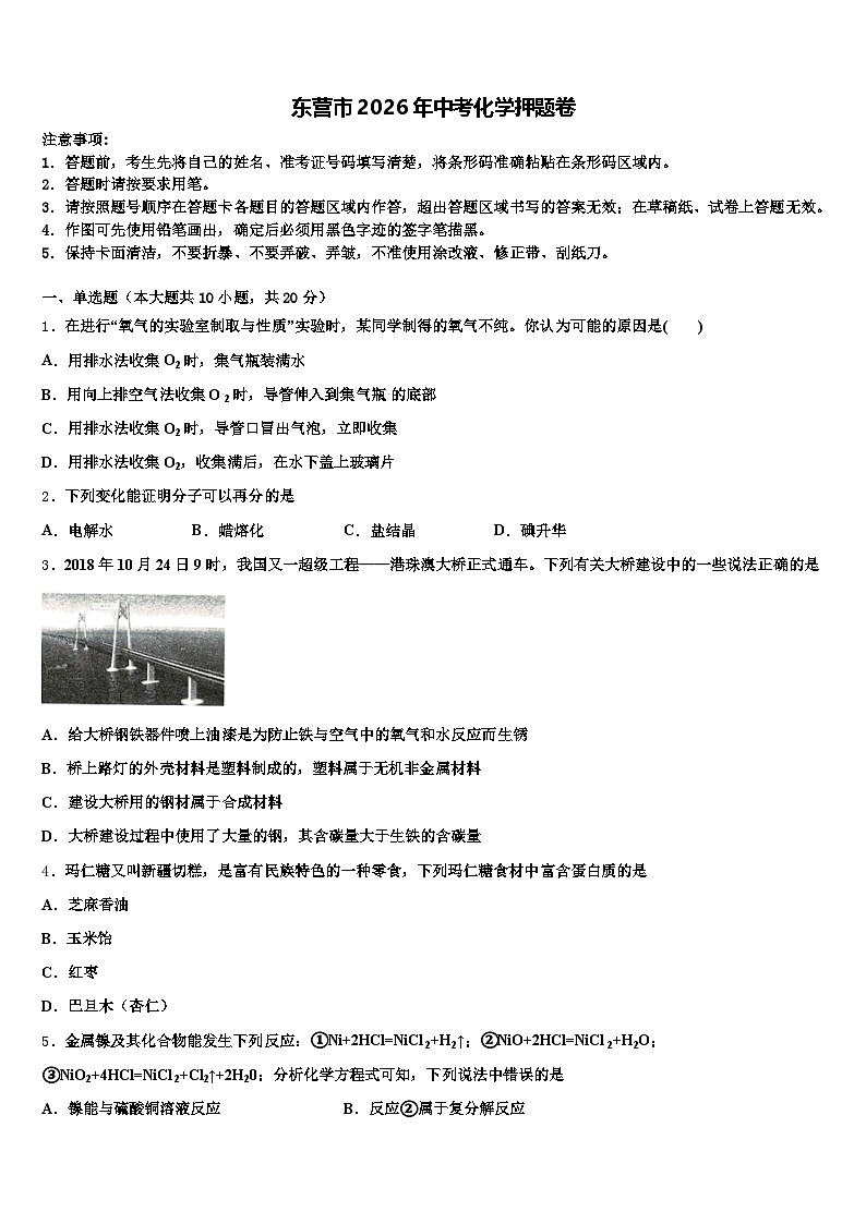 东营市2026年中考化学押题卷（含答案解析）第1页