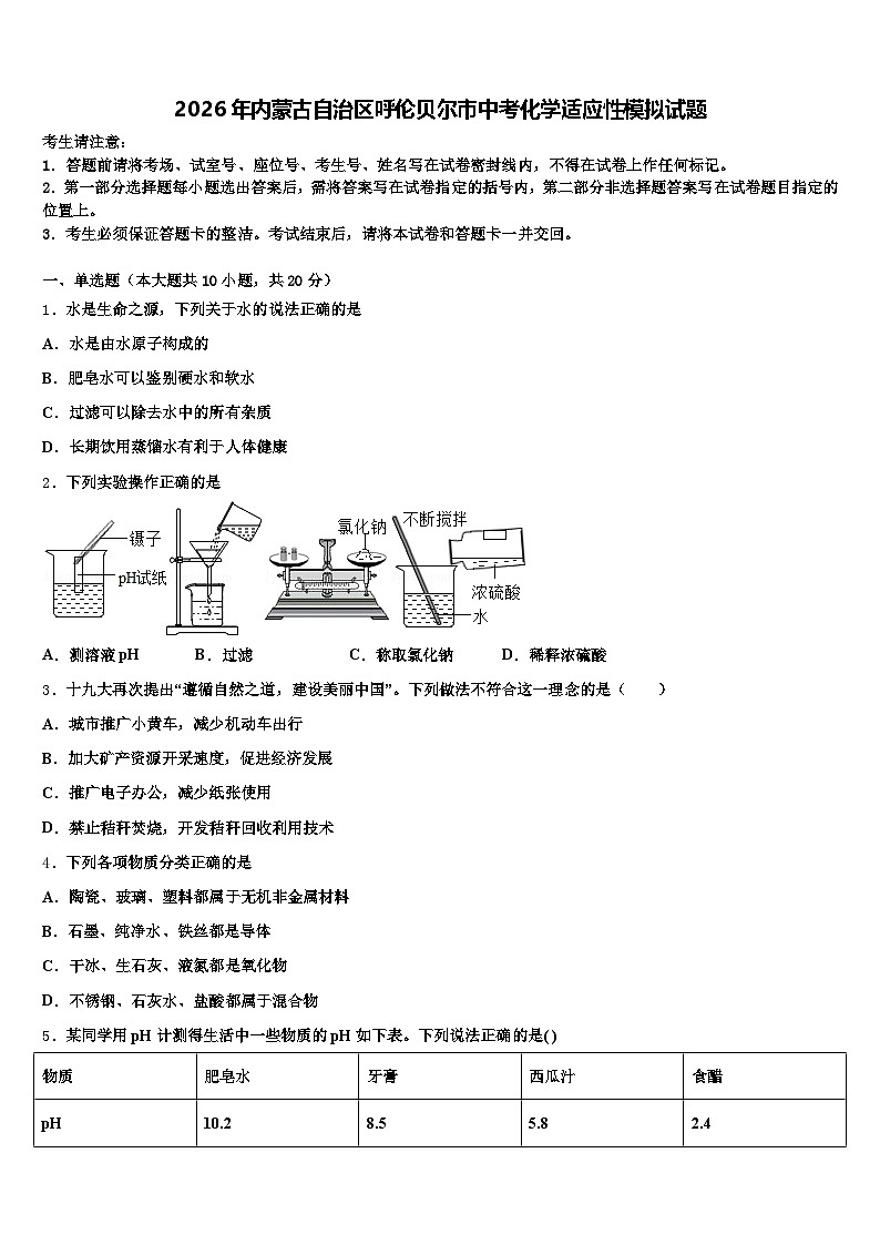 2026年内蒙古自治区呼伦贝尔市中考化学适应性模拟试题（含答案解析）第1页